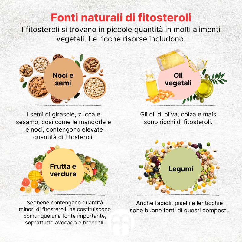 (Italština) Přirozené zdroje fytosterolů